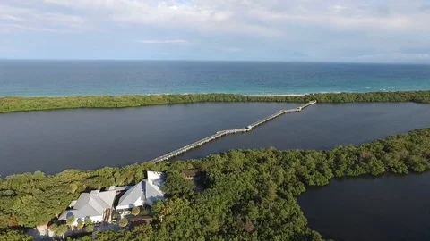 McAurthurBeachStatePark 05 Video stock 95148831