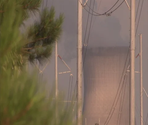 McBean, Georgia; CU nuclear power station cooling tower and pine branch Stock Footage 86693517