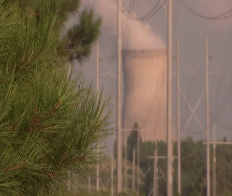 McBean, Georgia; Pine tree and nuclear power station cooling tower spewing smoke Stock Footage 86693492