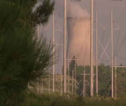 McBean, Georgia; Slow zoom in to pine branch and nuclear cooling tower  Video stock 86693511