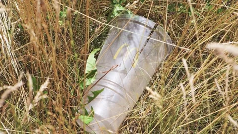McDonald's drink cup container discarded in the park. Video stock 327868097