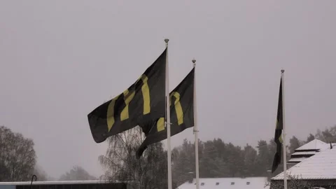 The McDonald's flag flies in the blizzard Stock Footage 245434672