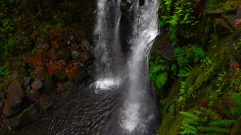 McDowell Creek Falls County Park in Linn County, Oregon, United State Stock Footage 222649906