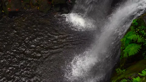 McDowell Creek Falls County Park in Linn County, Oregon, United State Stock Footage 222649909