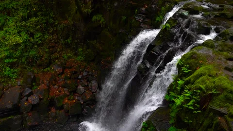 McDowell Creek Falls County Park in Linn County, Oregon, United State Stock Footage 222649917
