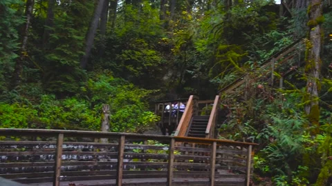 McDowell Creek Falls County Park in Linn County, Oregon, United State Stock Footage 222650129
