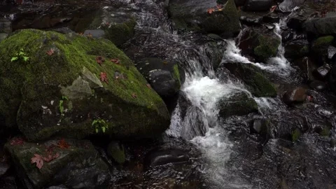 McDowell Creek Falls County Park in Linn County, Oregon, United State Stock Footage 222650253