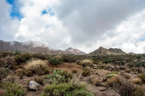 Mcdowell Mountains after a storm Stock-Fotos