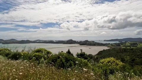 McGregor Bay and Coromandel Harbour from the Kauri Block Walk lookout, nest.. Stock Footage 284882341