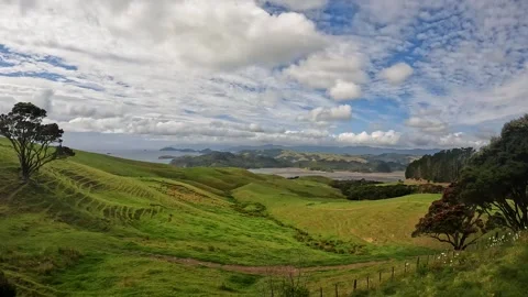 McGregor Bay and Coromandel Harbour from the Kauri Block Walk lookout, nest.. Stock Footage 284882376