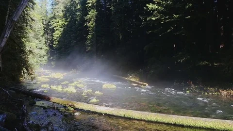 The McKenzie River Stock Footage 76727903