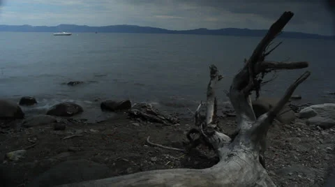 McKinney Bay Tree Vidéo 22840976