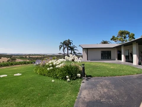 McLaren Vale, Australia – 2019, Dec 28: Winery Garden and Vineyard Stock Footage 343473496