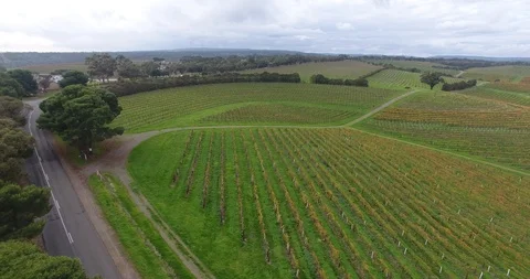 Mclaren Vale Drone Stock Footage 92116362
