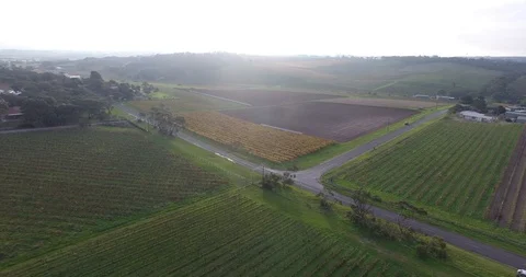 Mclaren Vale Stock Footage 92121284