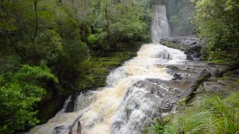 McLean Falls in the Catlins Conservation Park, Otago, New Zealand. Video stock 135699970