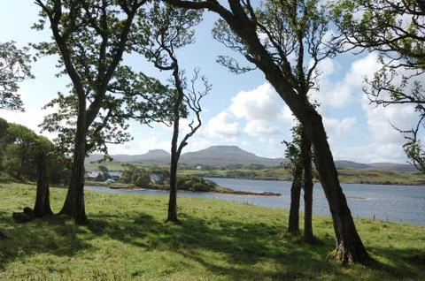 Mcleods tables through trees Foto stock