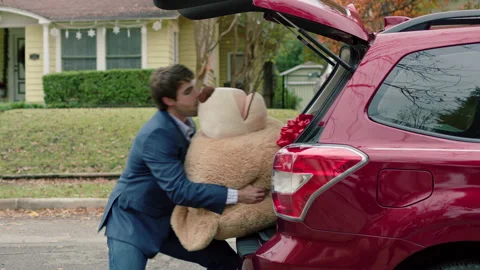 MCU of a man fighting to get a large valentines day teddy bear out of the trunk Stock Footage 137273821