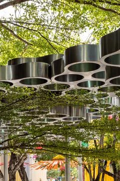 MDD CANOPY 2 Stock Photos