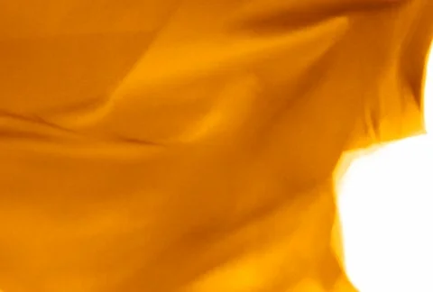 MDFF 01 動画素材 63818