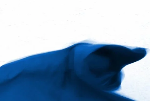 MDFF 04 Видео 63821