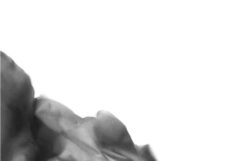 MDFF 28 Video stock 63847