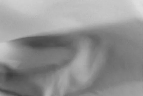 MDFF 29 Video stock 63848