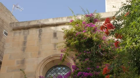 Mdina, Malta 스톡 동영상 42797725