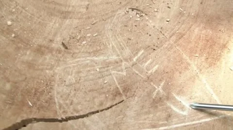 Me Plus You Carved into Tree Video stock 12599271