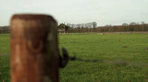 Meadow 1 Stock Footage 33926879