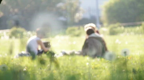 Meadow 14 Stock Footage 743080