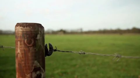 Meadow 2 Stock Footage 33926851