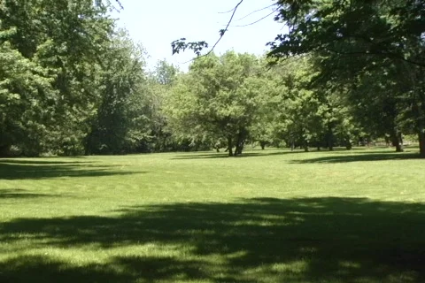 Meadow-217-01 库存影片 479574