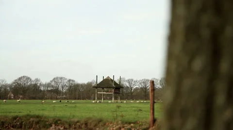 Meadow 3 Stock Footage 33926847