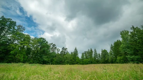 Meadow 4k time lapse. Rain clouds over meadow in summer. Stock Footage 244030718
