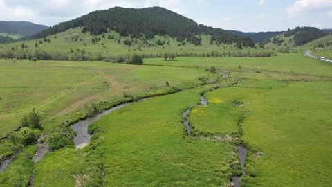Meadow in aerial view Stock Footage 294127213