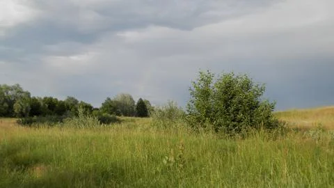 Meadow after rain Stock Photos