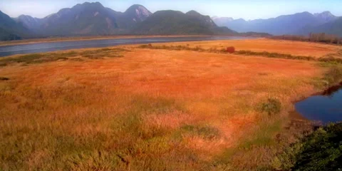 Meadow by air Video stock 885249