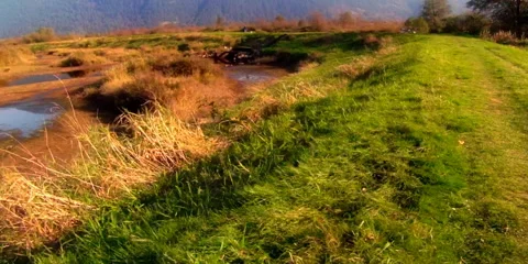 Meadow by air Video stock 885277