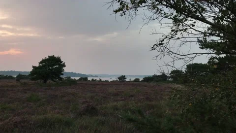 Meadow and a beach on a sunset Stock Footage 145839773