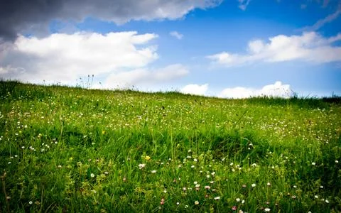Meadow and clouds Stock Photos