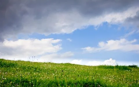 Meadow and clouds Stock Photos