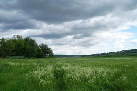 Meadow and the dark dramatic rain clouds. Stock Photos