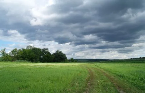 Meadow and the dark dramatic rain clouds. Stock Photos