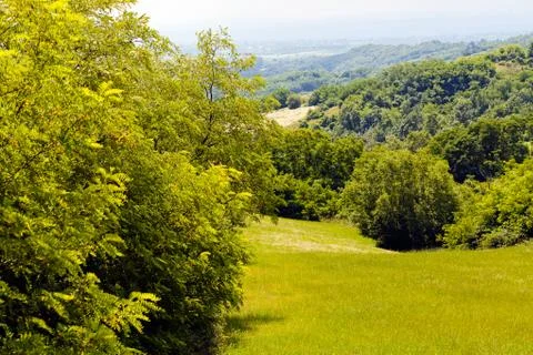 Meadow and forest Stock Photos