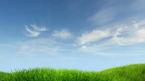 Meadow and sky background Stock Footage 11428488