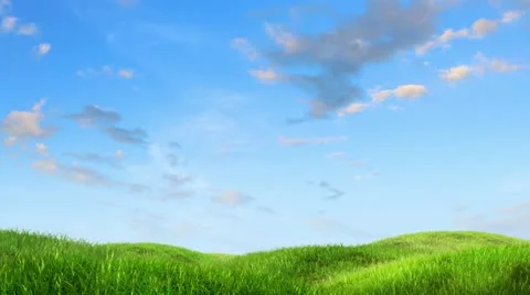 Meadow and sky background Stock Footage 11429216