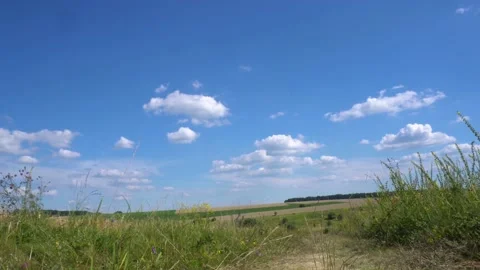 Meadow and sky Stock Footage 154427256