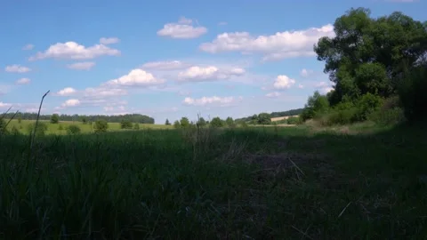 Meadow and sky 스톡 동영상 154427262