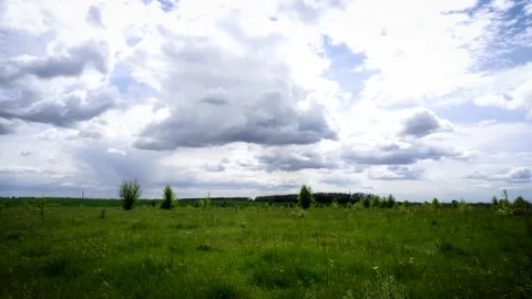 Meadow and sky Stockbeeldmateriaal 154428219